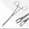 Sponge Forester Forceps, Slotted